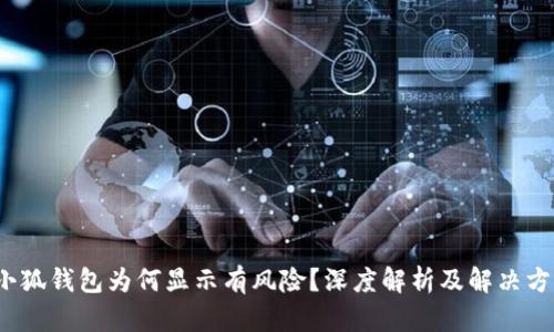  小狐錢包為何顯示有風(fēng)險(xiǎn)？深度解析及解決方案