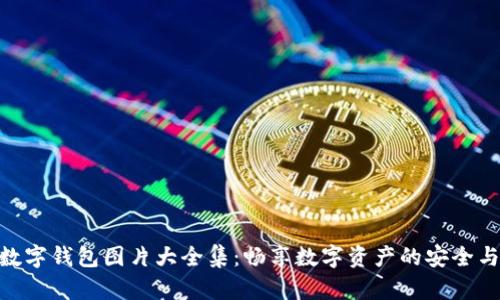 狐貍數(shù)字錢(qián)包圖片大全集：暢享數(shù)字資產(chǎn)的安全與便捷