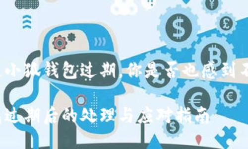 每當(dāng)提起小狐錢包過期，你是否也感到不知所措？

小狐錢包過期后的處理與應(yīng)對(duì)指南