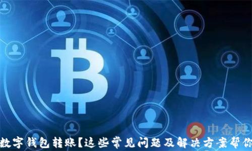 
沒有收到數(shù)字錢包轉(zhuǎn)賬？這些常見問題及解決方案幫你找回資金