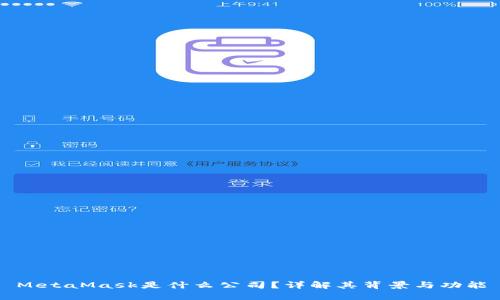 MetaMask是什么公司？詳解其背景與功能