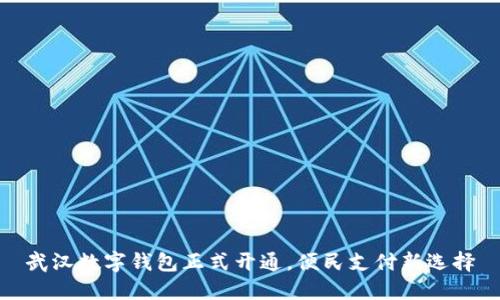 武漢數(shù)字錢包正式開通，便民支付新選擇