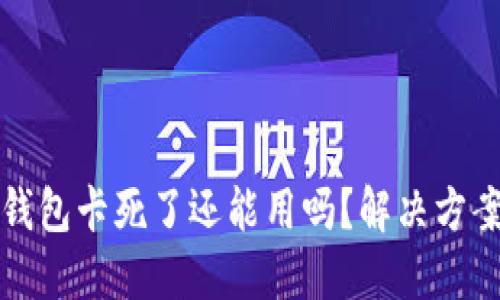 小狐錢包卡死了還能用嗎？解決方案詳解