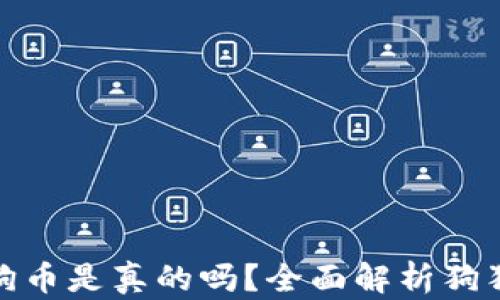 
小狐錢包存狗狗幣是真的嗎？全面解析狗狗幣存儲安全性