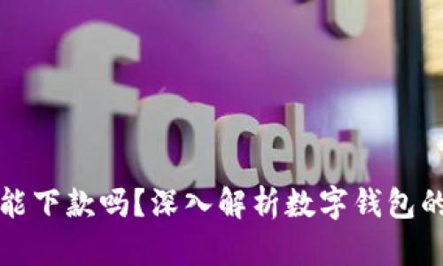 數(shù)字錢包還能下款嗎？深入解析數(shù)字錢包的現(xiàn)狀與未來