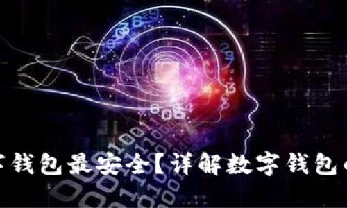 哪種數(shù)字錢(qián)包最安全？詳解數(shù)字錢(qián)包的安全性