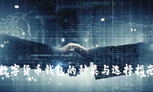 數(shù)字貨幣錢(qián)包的種類(lèi)與選擇指南