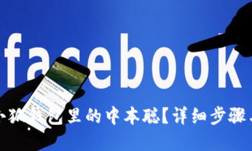 如何找回小狐錢包里的中本聰？詳細(xì)步驟與解決方案