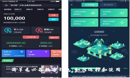 薅羊毛必備數(shù)字錢(qián)包：如何選擇和使用