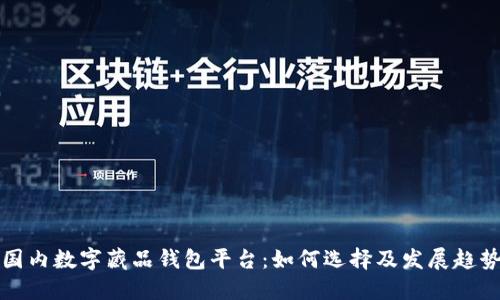 國內數(shù)字藏品錢包平臺：如何選擇及發(fā)展趨勢
