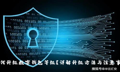 如何升級(jí)數(shù)字錢包等級(jí)？詳解升級(jí)方法與注意事項(xiàng)