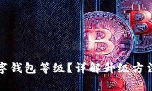 如何升級(jí)數(shù)字錢包等級(jí)？詳解升級(jí)方法與注意事項(xiàng)