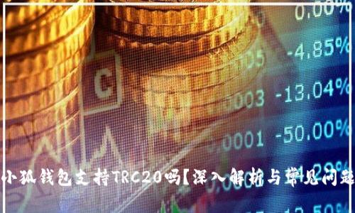 小狐錢包支持TRC20嗎？深入解析與常見問題