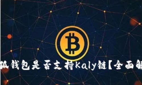 小狐錢包是否支持Kaly鏈？全面解析