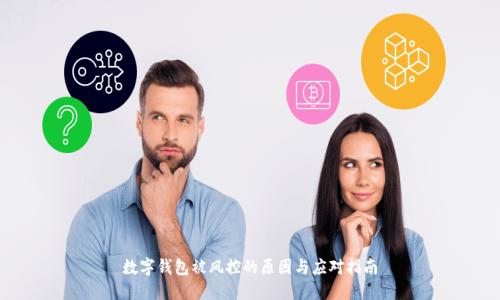 數(shù)字錢包被風控的原因與應(yīng)對指南