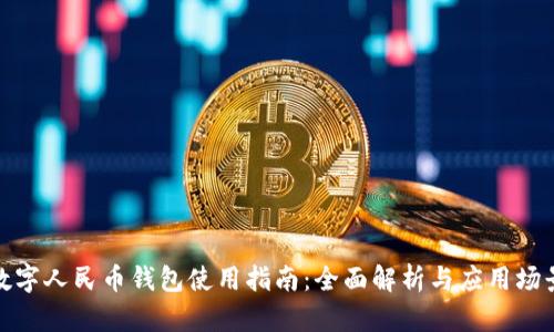 數(shù)字人民幣錢包使用指南：全面解析與應(yīng)用場(chǎng)景