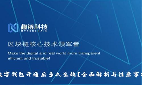 數(shù)字錢包開通后多久生效？全面解析與注意事項(xiàng)