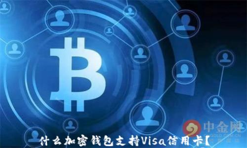 
什么加密錢包支持Visa信用卡？