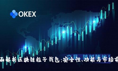 全面解析區(qū)塊鏈粒子錢包：安全性、功能與市場(chǎng)前景