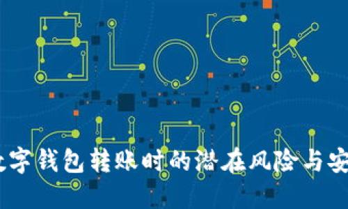 小心！數(shù)字錢包轉(zhuǎn)賬時(shí)的潛在風(fēng)險(xiǎn)與安全措施